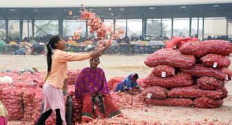 Angry Maharashtra farmer burns onion crop