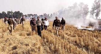 Farmers labelled villain in stubble burning issue: SC