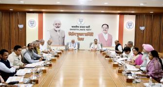 BJP names 4 Union ministers, 14 MPs in 3 state polls