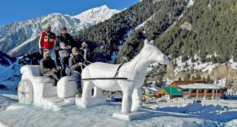 What's It Like Riding A Snow Horse Cart