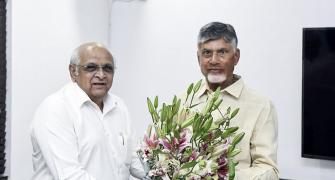 Naidu to consult with seers, experts on laddu case