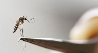 Zika virus prompts Aus to take bug spray maker on-board as Oly sponsor