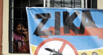 Beware! Indians are vulnerable to Zika virus: Study