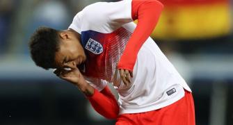 World Cup Diary: Gnats swarm players during Tunisia v England game