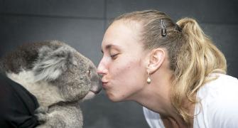 PIX: Tennis stars hang out with wild friends at Aus Open