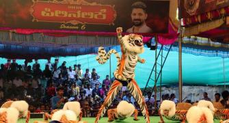 WATCH: Mangaluru's 'tiger dance' festival for Dassehra