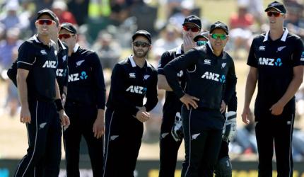 New Zealand cricketers start squad training