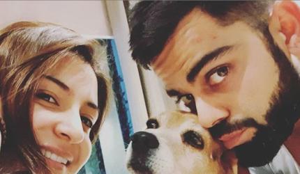 Kohli, Anushka mourn loss of pet dog Bruno