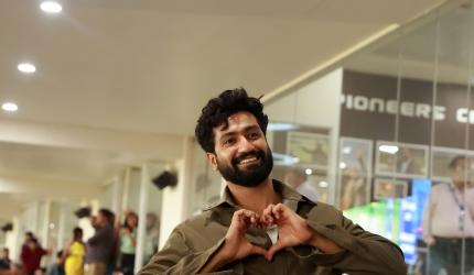 IPL 2023: Vicky Kaushal's In The House