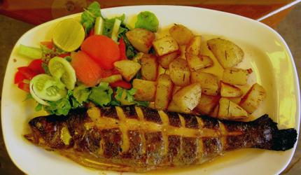 Grilled trout on a holiday in Manali