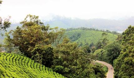 Photos that capture India's natural beauty