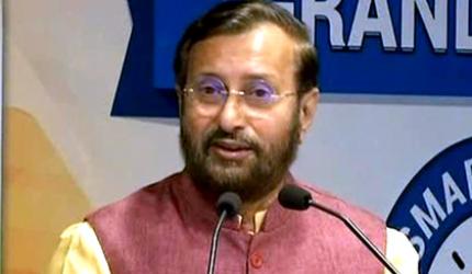 'Cramped' NCERT syllabus to be reduced by half: Javadekar