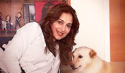 Aww! Have you met Madhuri's pets?