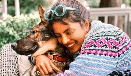 HR GURU: Can I ask for pet-related leave?
