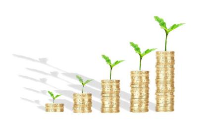 What Are Dividend Funds?