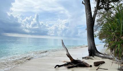 Forget Maldives, Visit India's Finest Beach