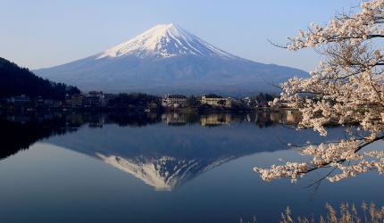 Sights And Dazzle Of Japan