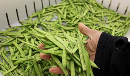 Recipe: Peanut-Flavoured Gawar Stir Fry