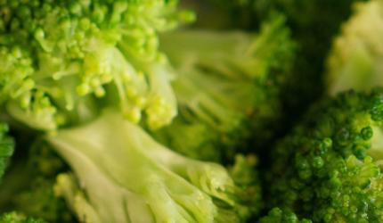 Why Broccoli Should Be Your Go-To Superfood