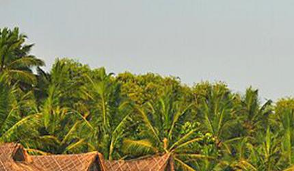 India's 10 Top Islands In The Sun