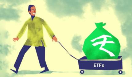 What Are Narrow Sectoral Funds?