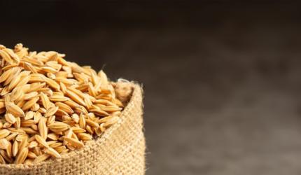 8 Of The World's Leading Rice Producers