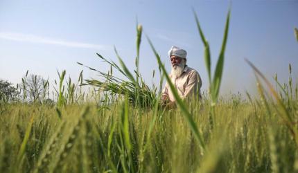Want To Buy Farm Land? Read This Please