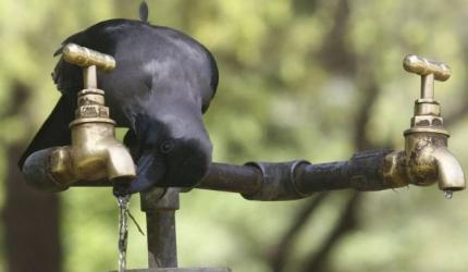 How best to tackle India's water crisis