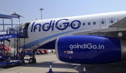 Why Indigo is fastest growing airline on the planet