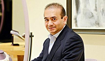 Nirav Modi in custody, next hearing via video on Jan 2