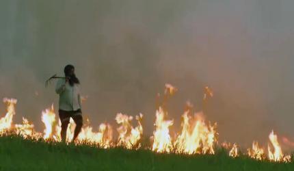 Paying farmers for not burning stubble is wrong