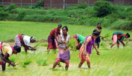 Over To Rain Gods To Lift Consumer Mood