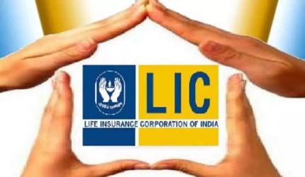 LIC earmarks Rs 600 crore for digital shift