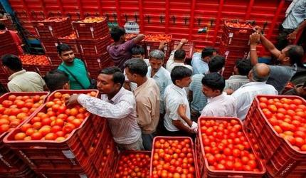 Household budget goes for toss; tomatoes cost Rs 90/kg