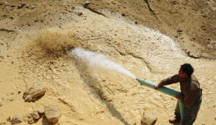 'Auto industry has resilience to tackle rare earth issue'