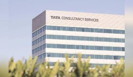 'TCS Can Survive Without H-1B Visas'