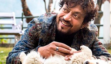 'Irrfan's not going to die'