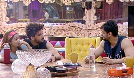 Bigg Boss 16: The Love Games Begin!