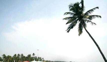 'Goa Beach Shacks Can't Sell Idli-Sambar'