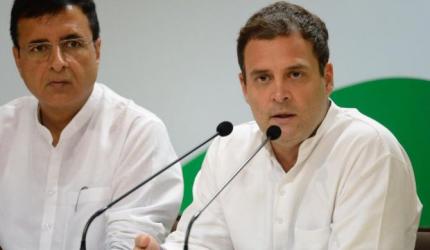 Absolutely convinced that PM is corrupt: Rahul