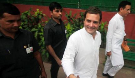 For Rahul, this election was win some, lose lots