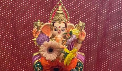 Auckland to Tiruppur: Bringing home Ganpati Bappa