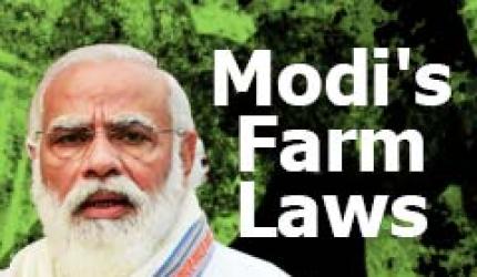 MODI'S FARM LAWS