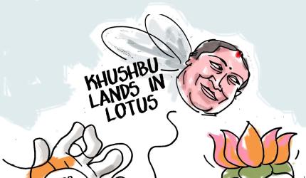 Dom's Take: Khushbu in Lotusland