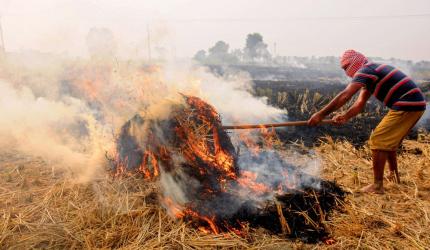 18% of Delhi's air pollution due to stubble burning