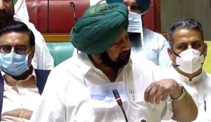 Not afraid of resigning: Punjab CM on farm laws issue