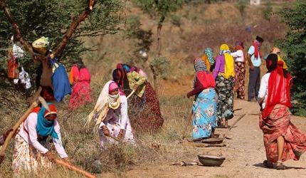 Budget: Govt lowers MGNREGA allocation by 25.51%