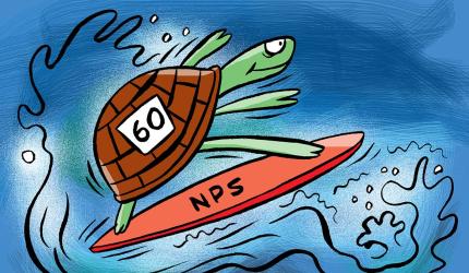 Opt for NPS for higher returns