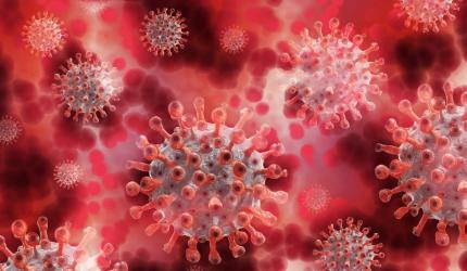 ALERT! New coronavirus found in China's Wuhan