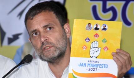 Assam poll: Cong manifesto promises to scrap CAA